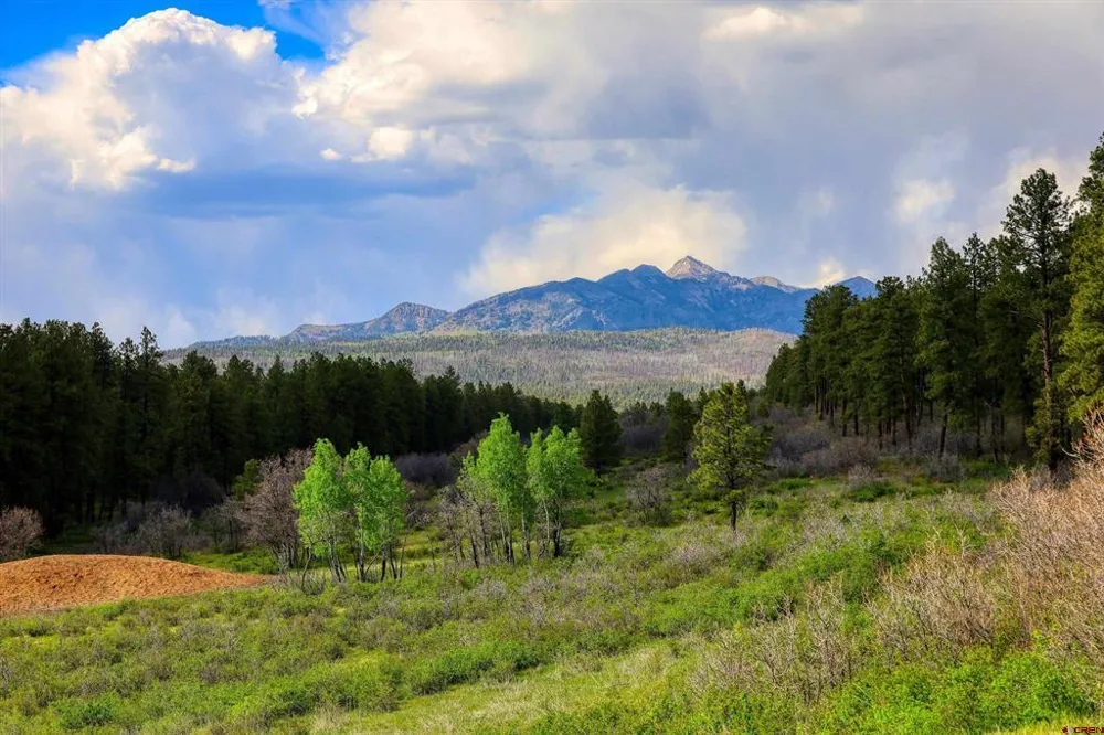 701 Piney Place Pagosa Springs, CO 81147