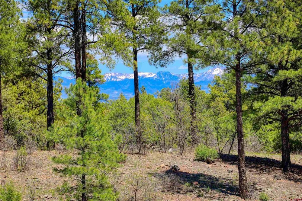 701 Piney Place Pagosa Springs, CO 81147