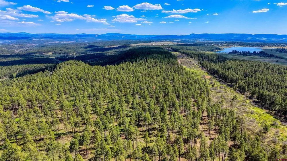 701 Piney Place Pagosa Springs, CO 81147