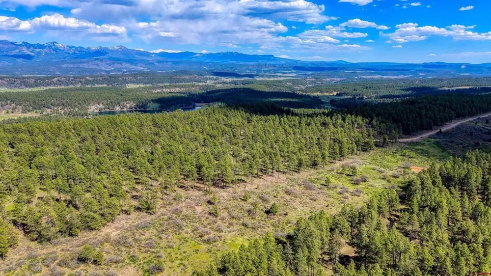 701 Piney Place Pagosa Springs, CO 81147