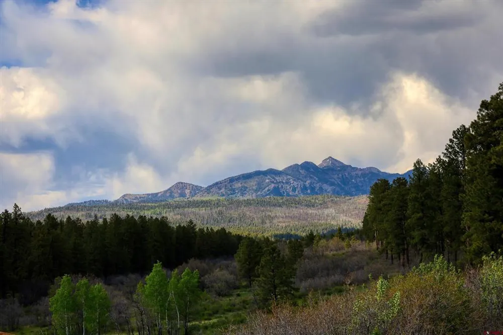 701 Piney Place Pagosa Springs, CO 81147