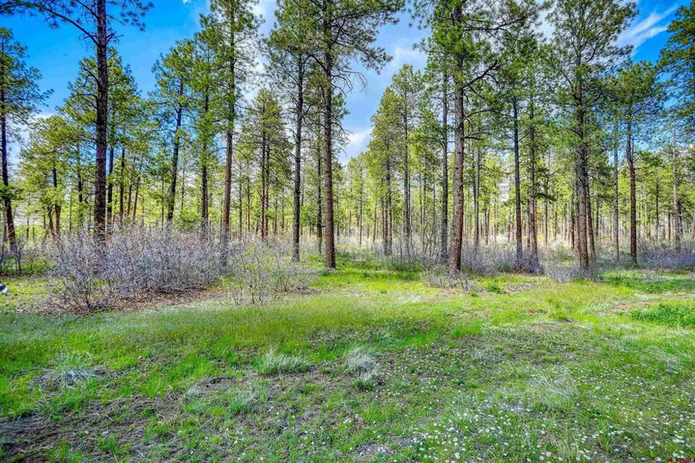 701 Piney Place Pagosa Springs, CO 81147