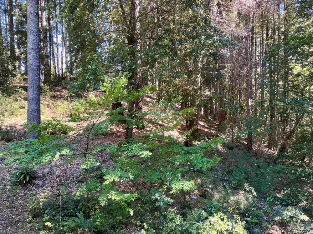 4345 Blackhawk Drive Willits, CA 95490