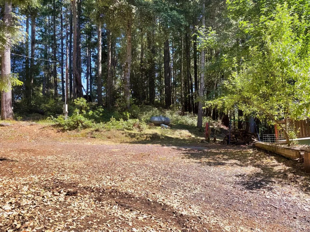 4345 Blackhawk Drive Willits, CA 95490