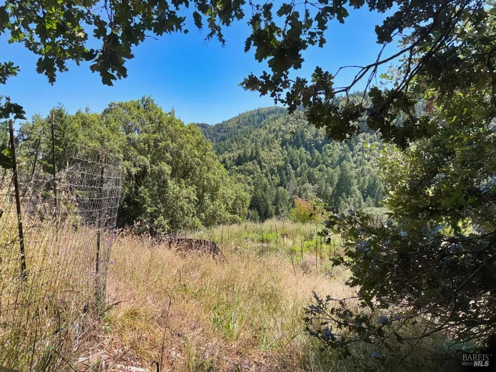 4345 Blackhawk Drive Willits, CA 95490