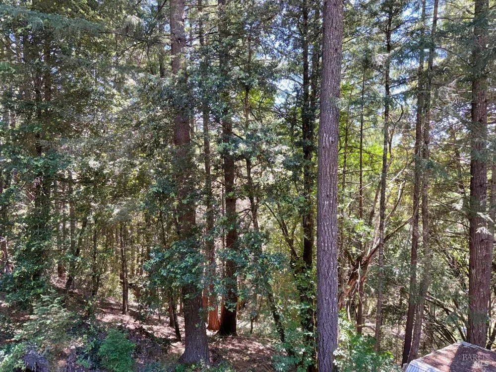 4345 Blackhawk Drive Willits, CA 95490