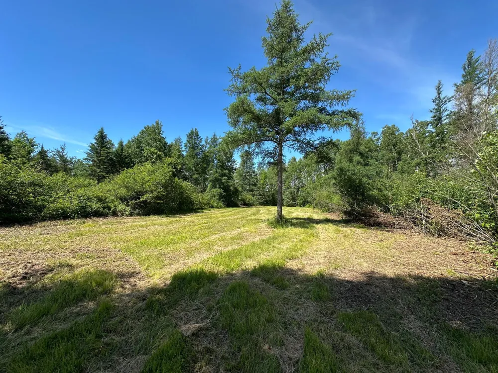 89225 Little Oak Lake Road Kerrick, MN 55756