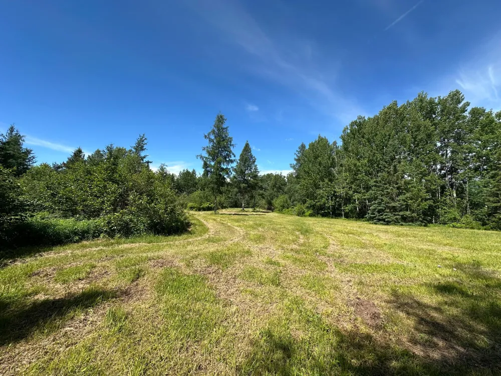 89225 Little Oak Lake Road Kerrick, MN 55756
