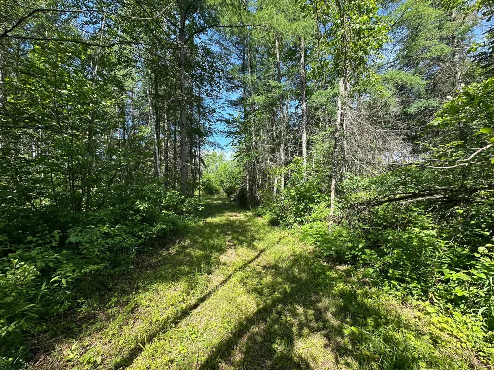 89225 Little Oak Lake Road Kerrick, MN 55756
