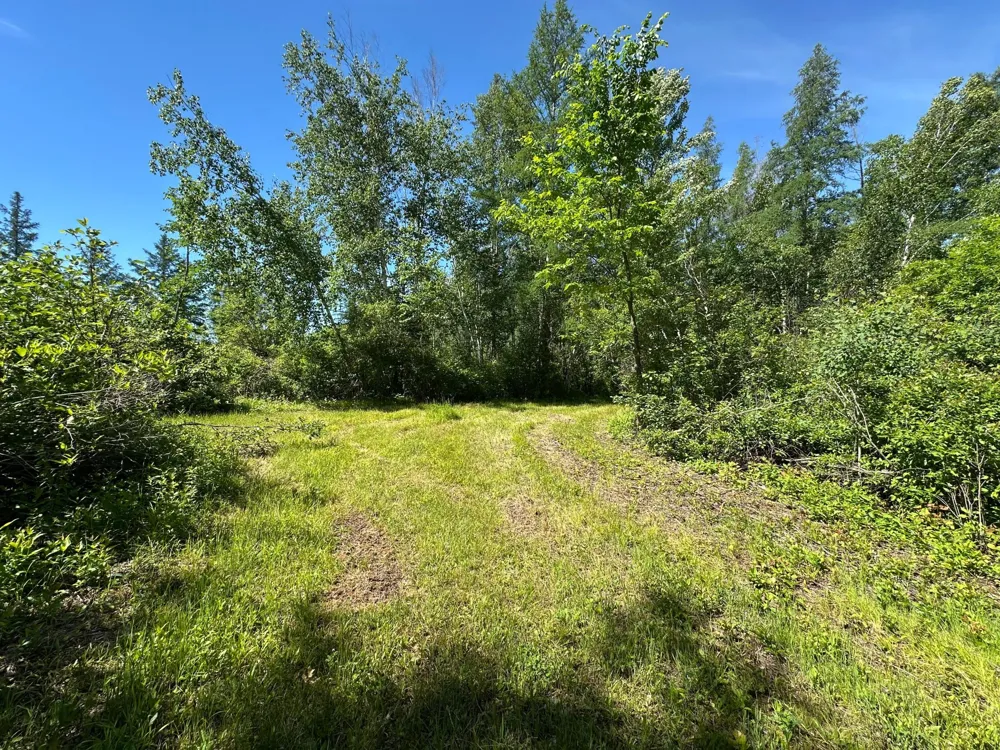 89225 Little Oak Lake Road Kerrick, MN 55756