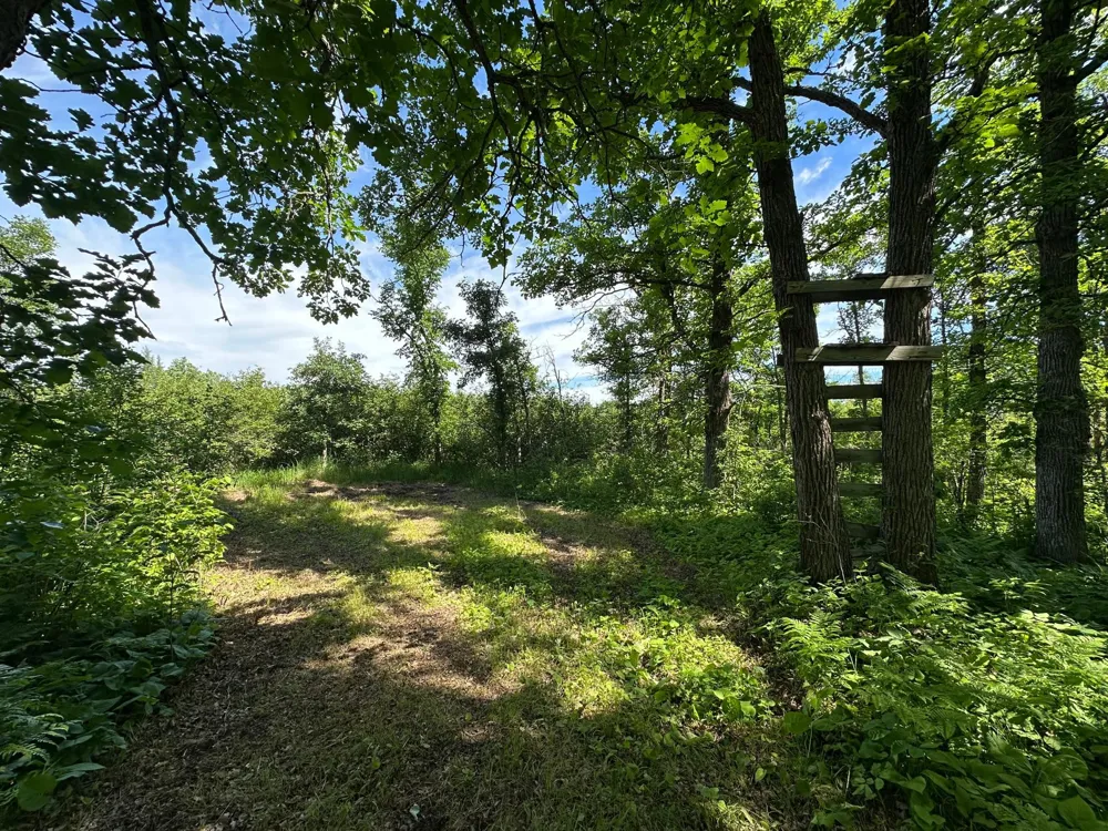 89225 Little Oak Lake Road Kerrick, MN 55756