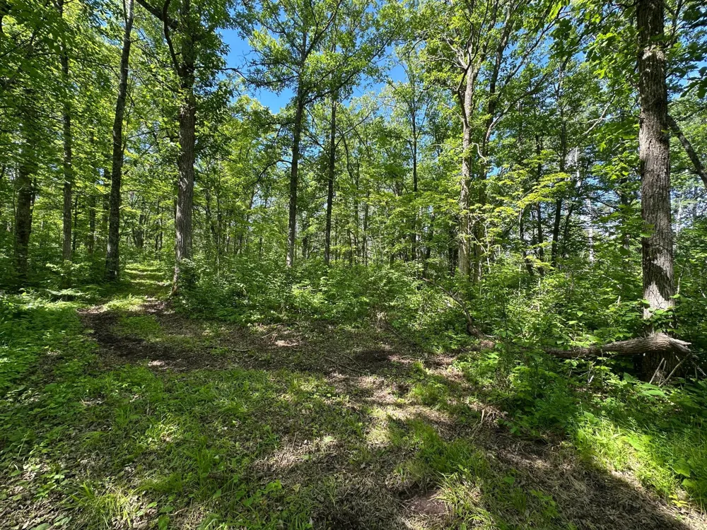 89225 Little Oak Lake Road Kerrick, MN 55756
