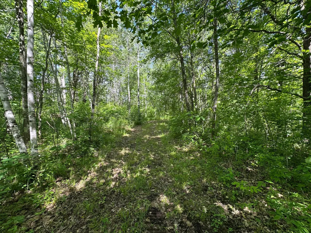 89225 Little Oak Lake Road Kerrick, MN 55756