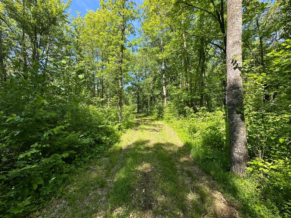 89225 Little Oak Lake Road Kerrick, MN 55756