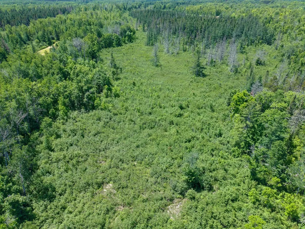 89225 Little Oak Lake Road Kerrick, MN 55756