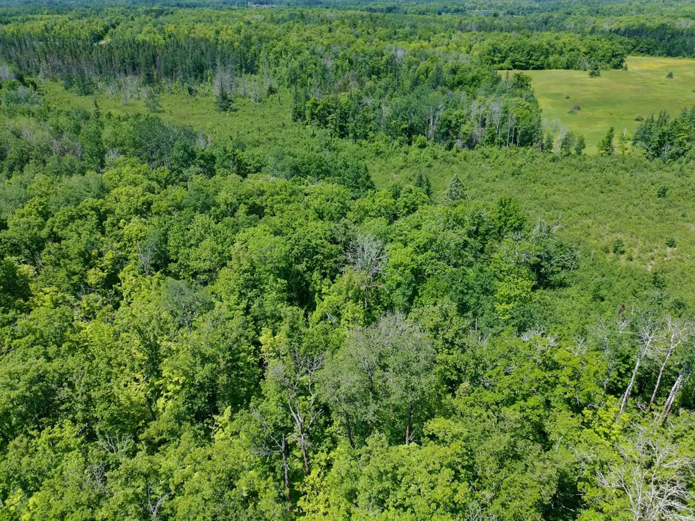 89225 Little Oak Lake Road Kerrick, MN 55756