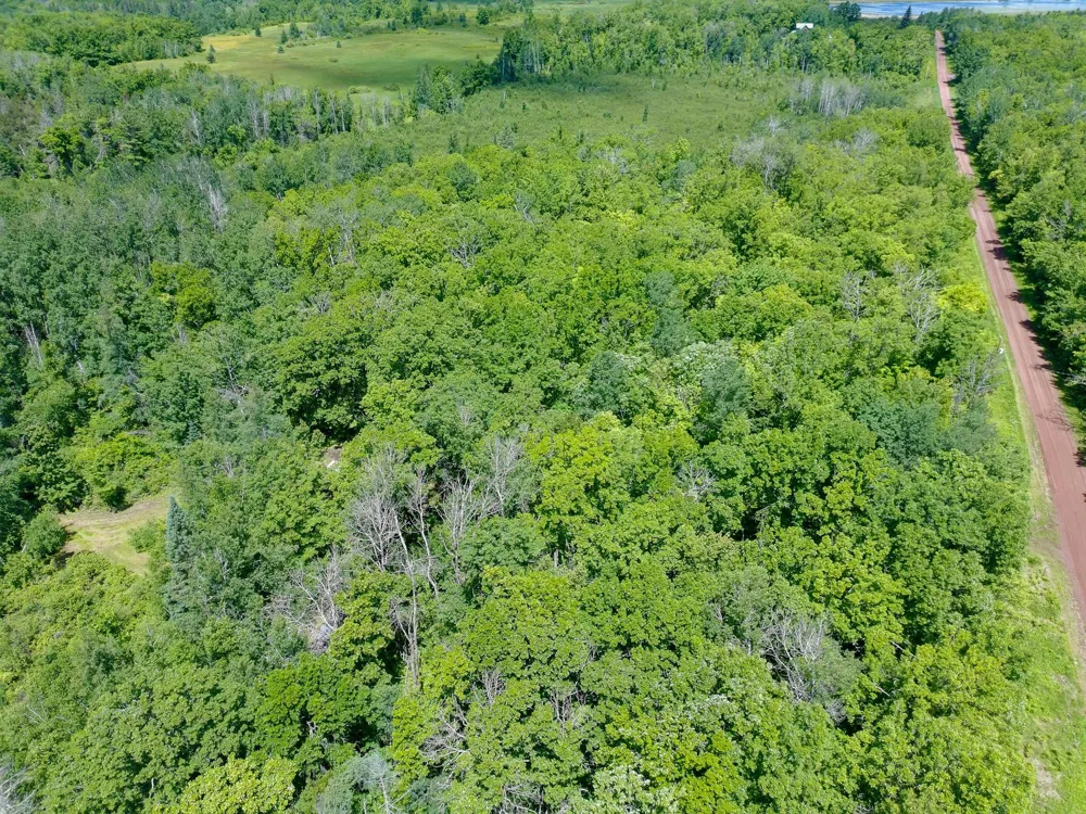 89225 Little Oak Lake Road Kerrick, MN 55756