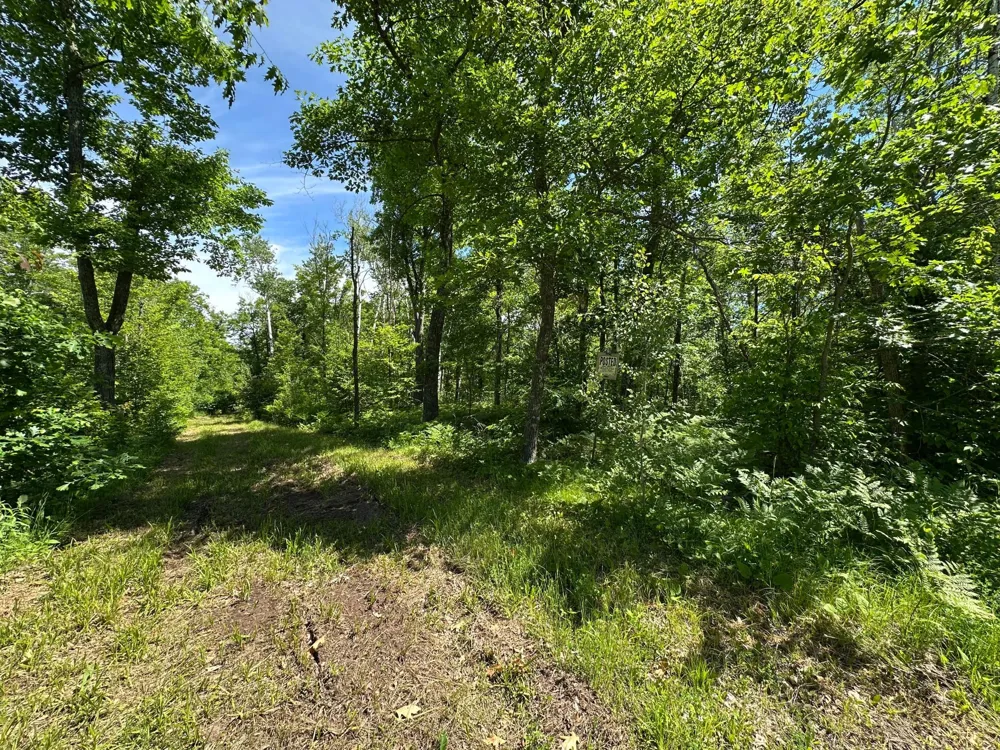 TBD Oak Leaf Road Kerrick, MN 55756