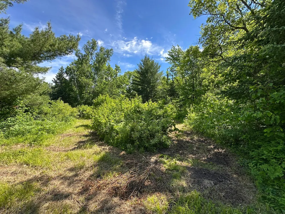 TBD Oak Leaf Road Kerrick, MN 55756