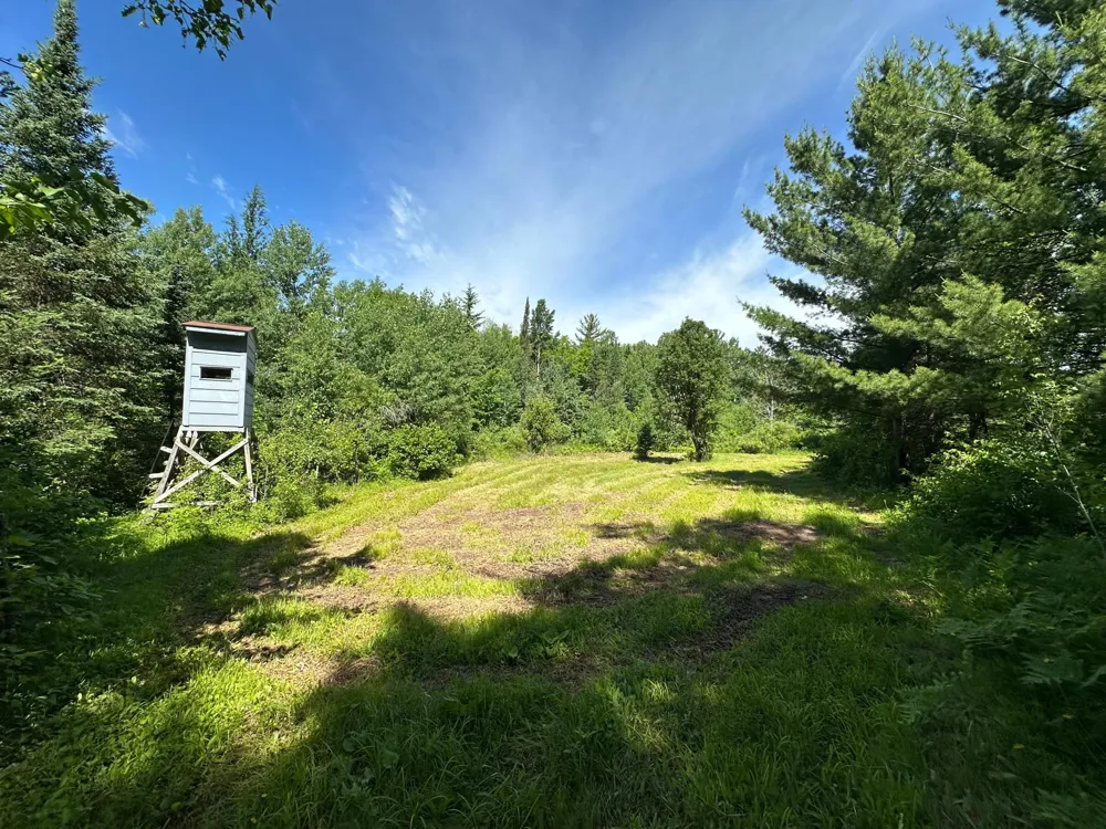 TBD Oak Leaf Road Kerrick, MN 55756