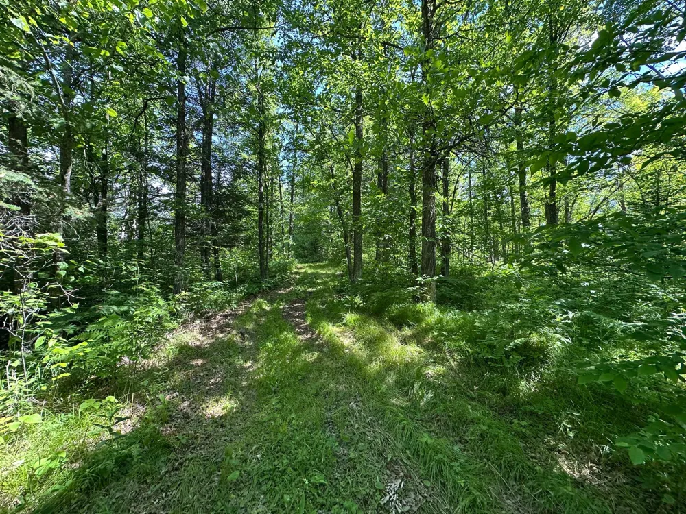 TBD Oak Leaf Road Kerrick, MN 55756