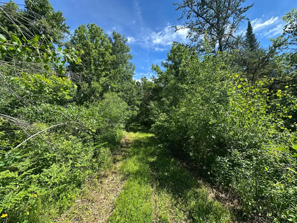 TBD Oak Leaf Road Kerrick, MN 55756