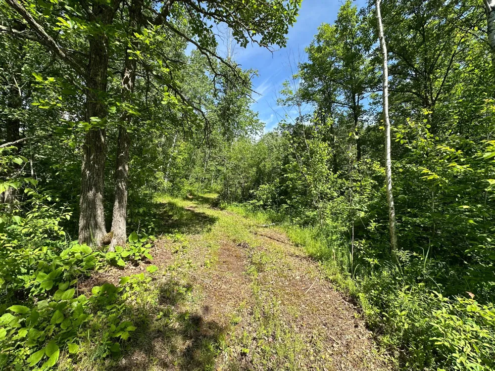 TBD Oak Leaf Road Kerrick, MN 55756
