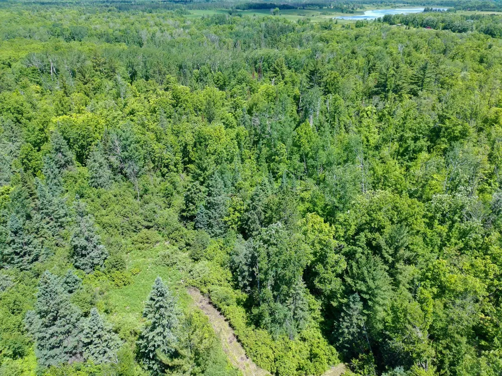 TBD Oak Leaf Road Kerrick, MN 55756