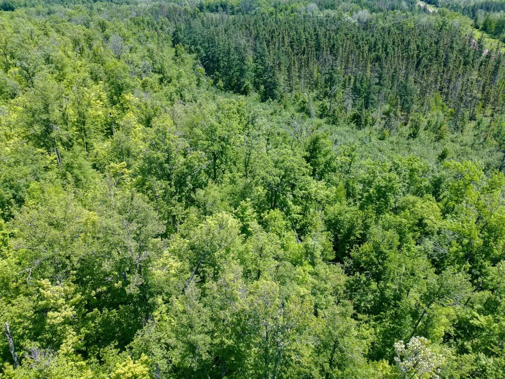 TBD Oak Leaf Road Kerrick, MN 55756