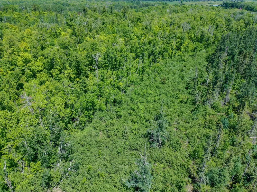 TBD Oak Leaf Road Kerrick, MN 55756