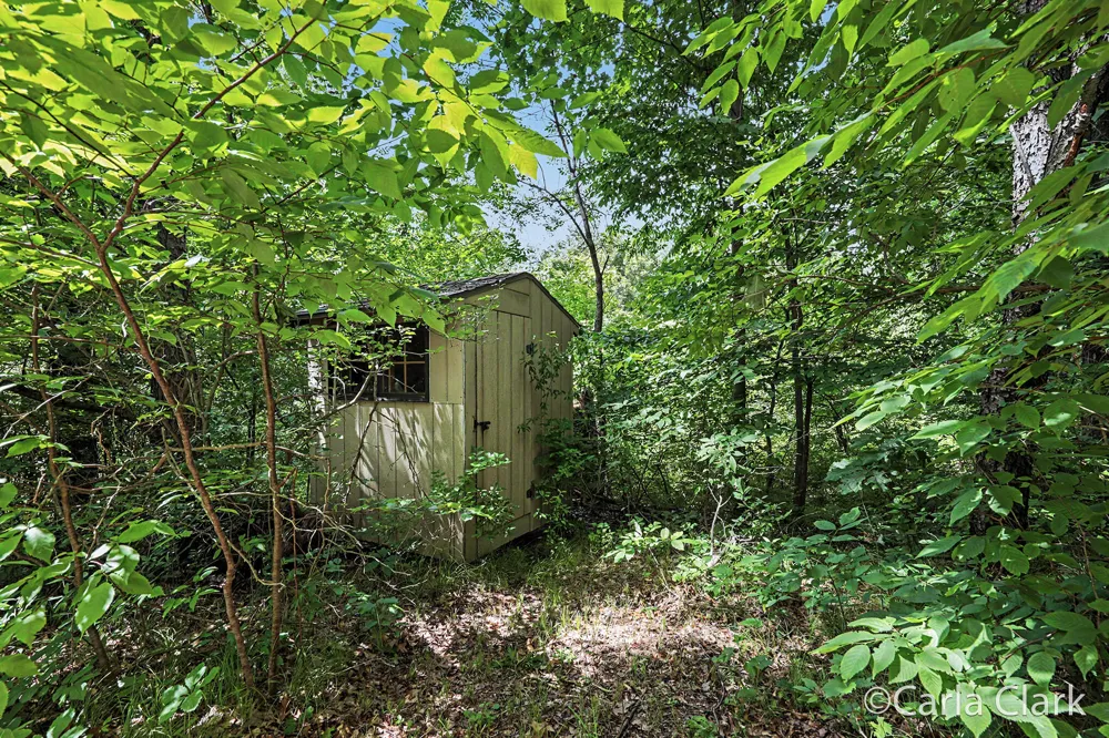 9899 Twelve Point Drive NE Courtland Township, MI 49341