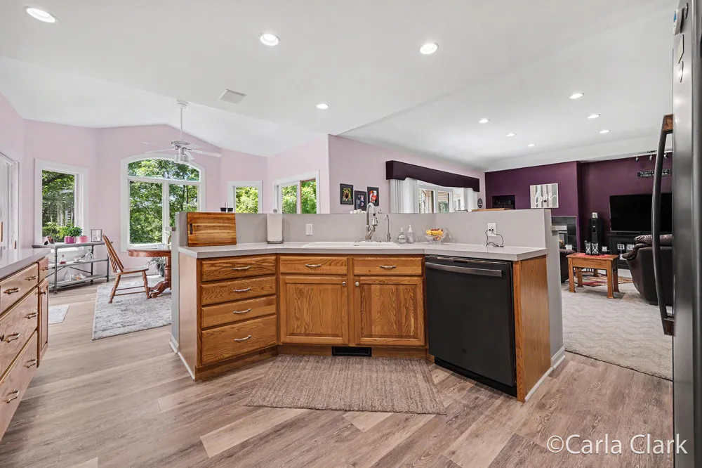 9899 Twelve Point Drive NE Courtland Township, MI 49341
