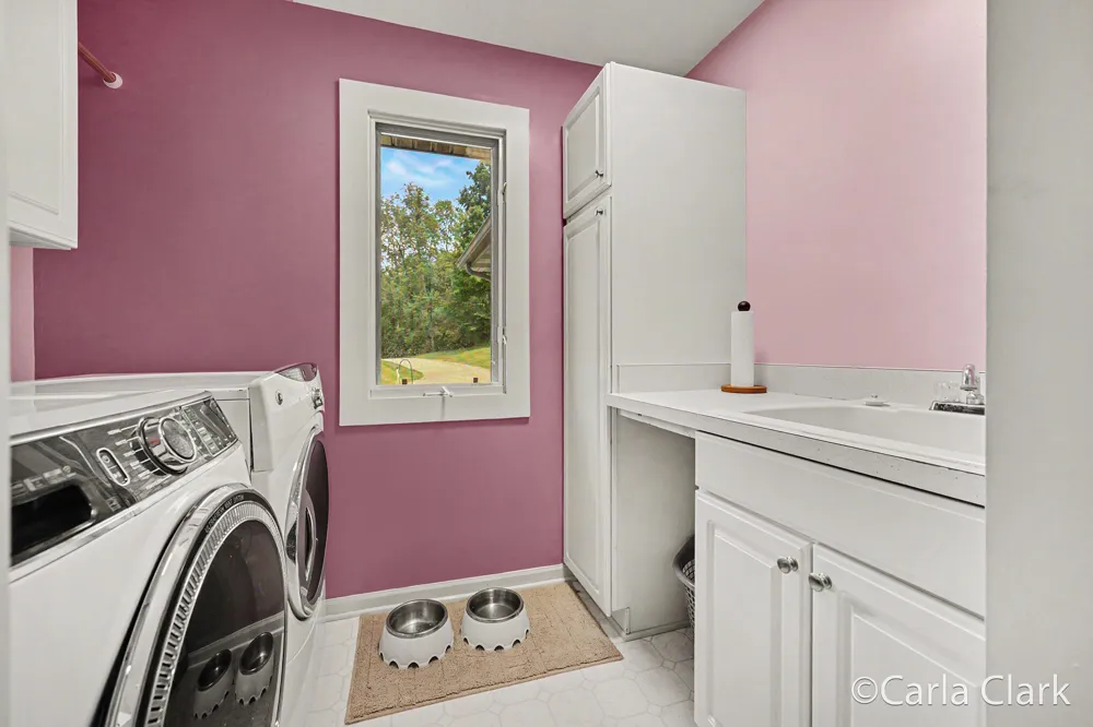 9899 Twelve Point Drive NE Courtland Township, MI 49341