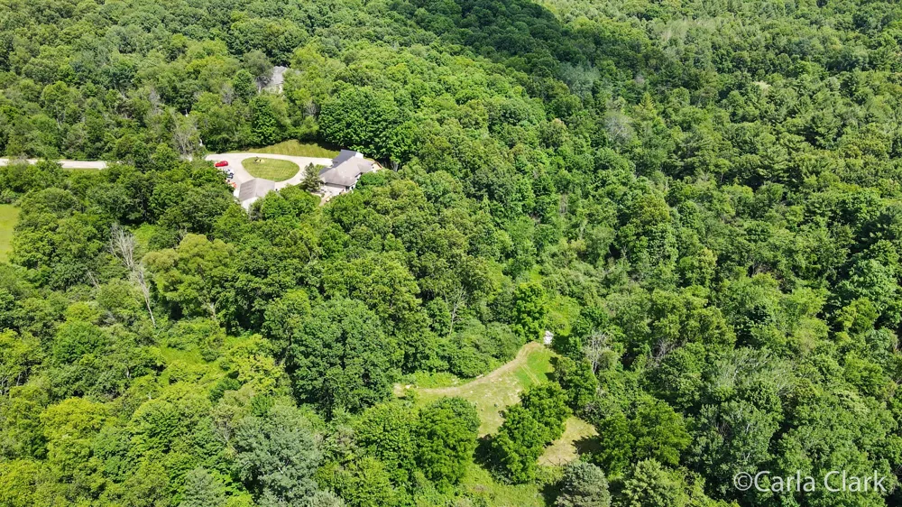 9899 Twelve Point Drive NE Courtland Township, MI 49341