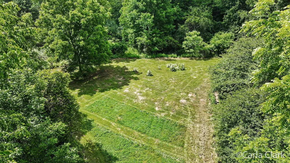 9899 Twelve Point Drive NE Courtland Township, MI 49341