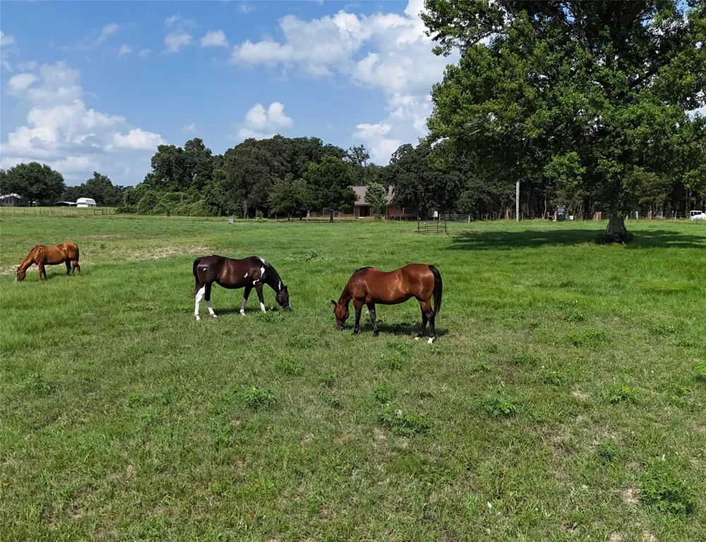 4952 Fm 3091 Madisonville, TX 77864