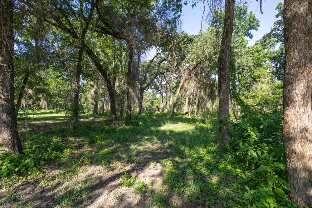 4952 Fm 3091 Madisonville, TX 77864