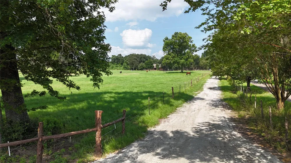 4952 Fm 3091 Madisonville, TX 77864