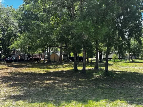 ESTELLE ST