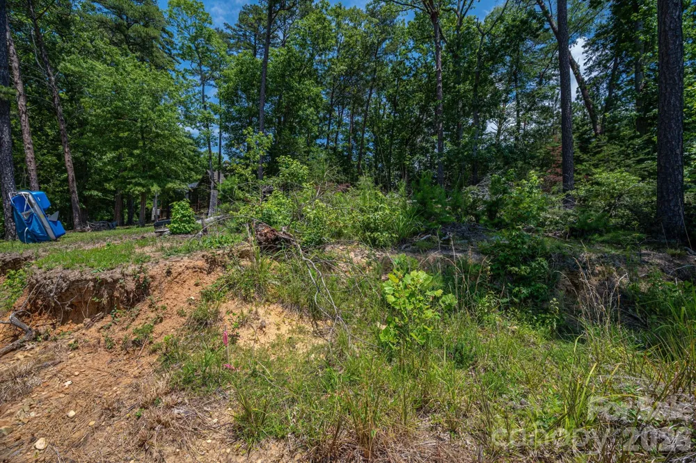 6024 Headlands Court Belmont, NC 28012