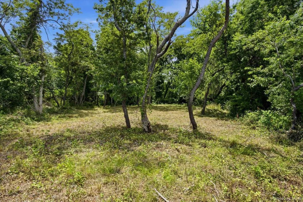 75 Pettys Drive Orient, NY 11957