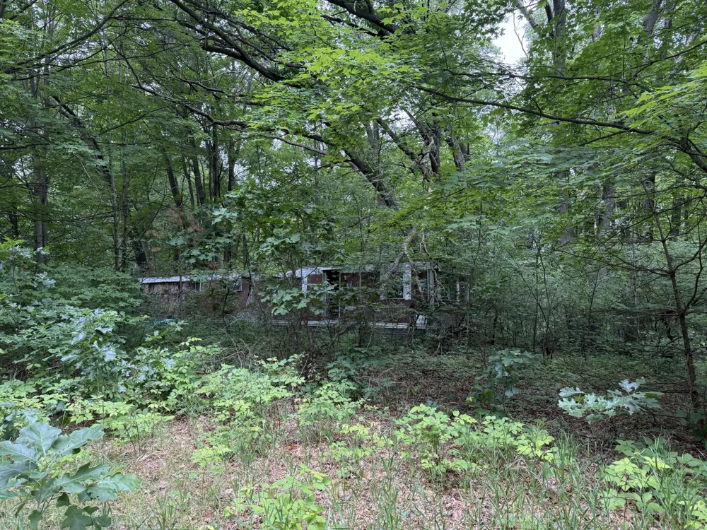 23250 W Wood Lake Road Pierson, MI 49339