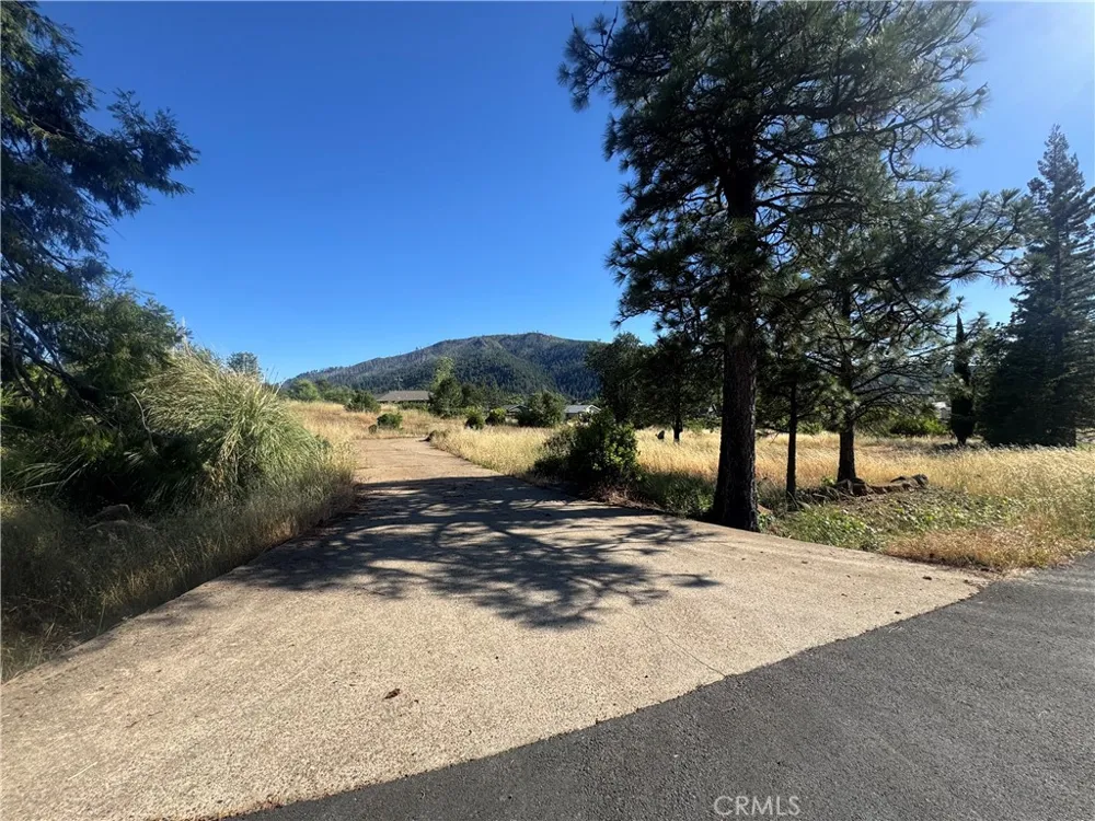 9729 Hoberg Drive E Cobb, CA 95426