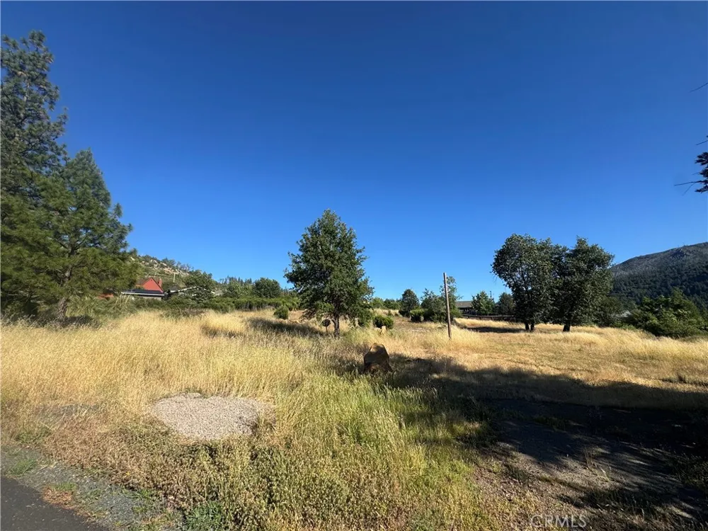9729 Hoberg Drive E Cobb, CA 95426