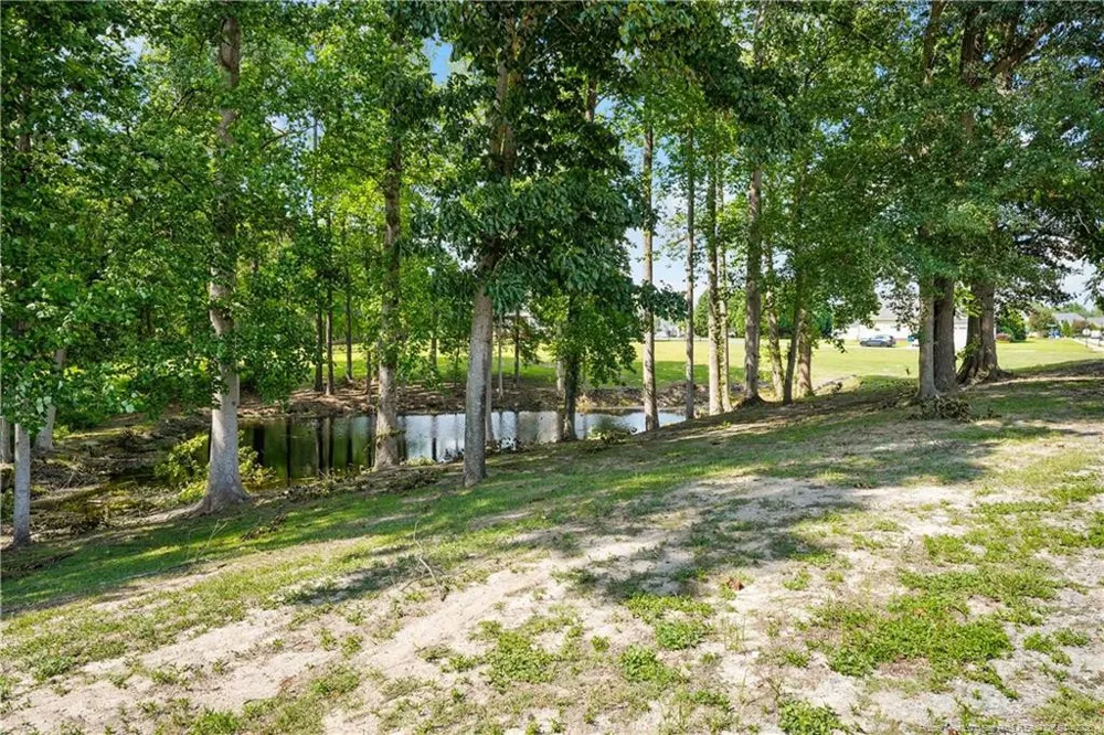 5324 Anna Belle Lane Wade, NC 28395