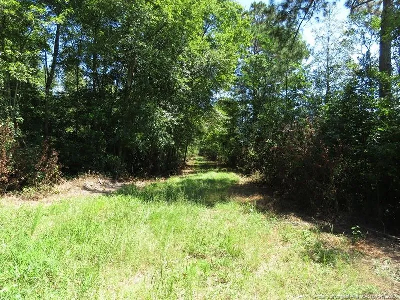 4512 Tobacco Road Orrum, NC 28369