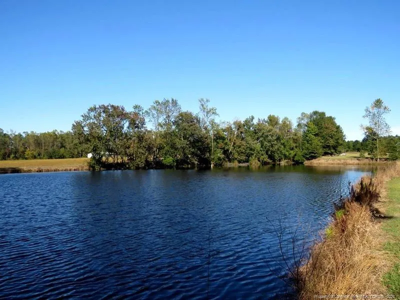 4512 Tobacco Road Orrum, NC 28369