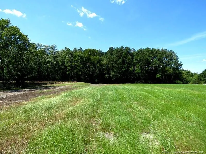 4512 Tobacco Road Orrum, NC 28369