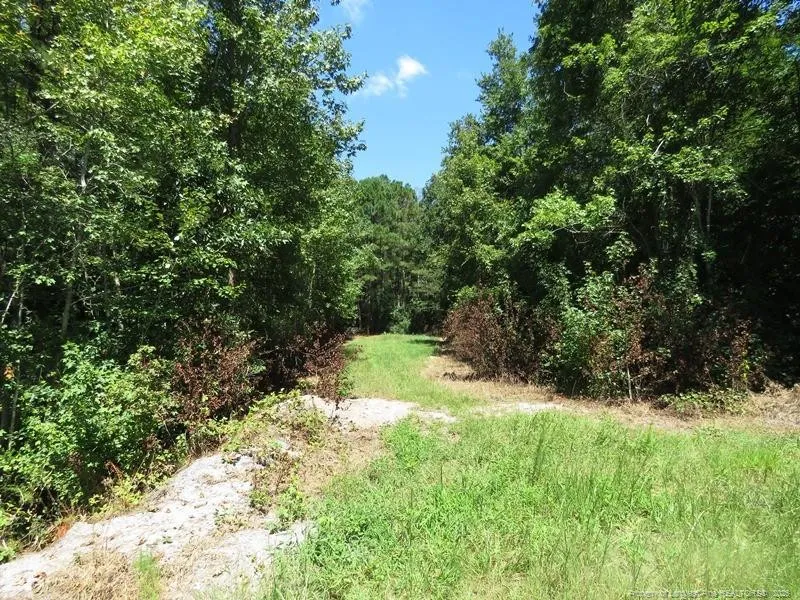 4512 Tobacco Road Orrum, NC 28369