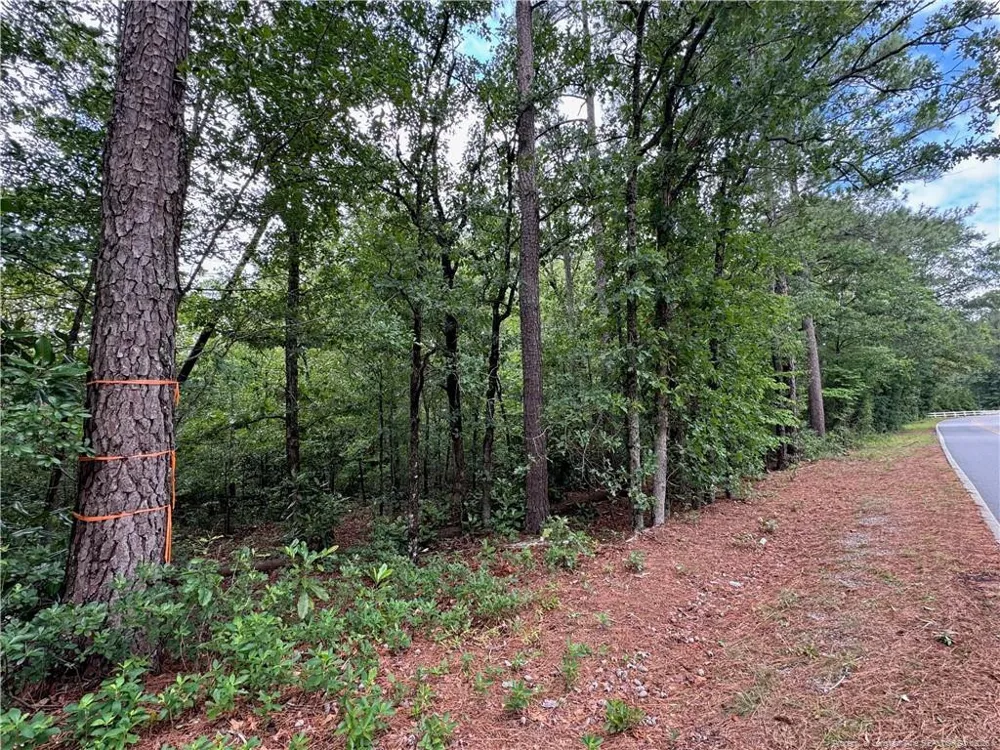 TBD Myra Road Raeford, NC 28376